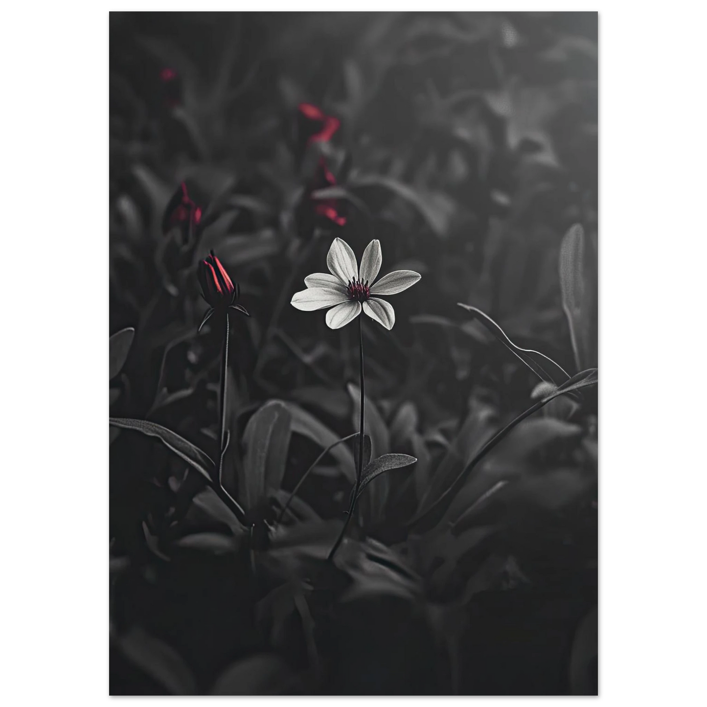 0d4024aa-e989-42dc-ab5e-6c668d3b32a1