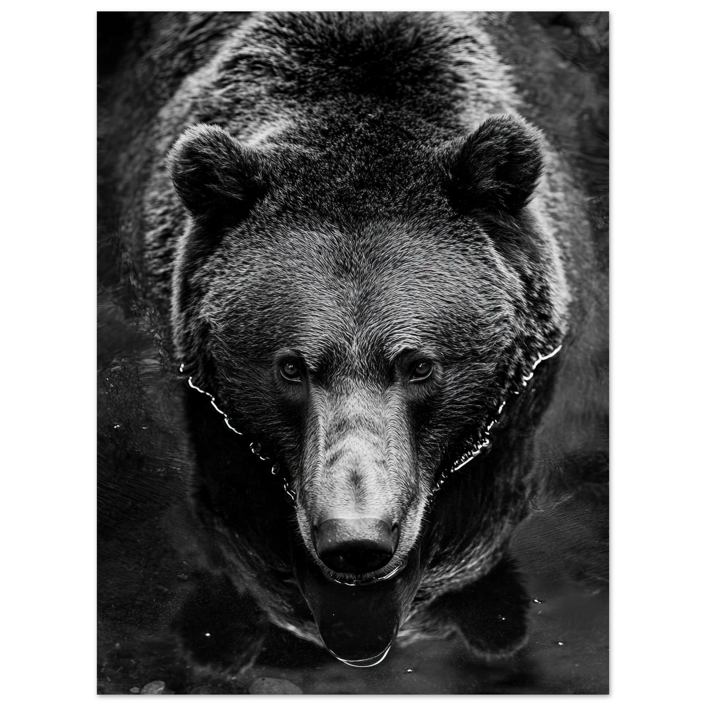 52527b55-59bc-4d6f-8577-51d78cbf9cec