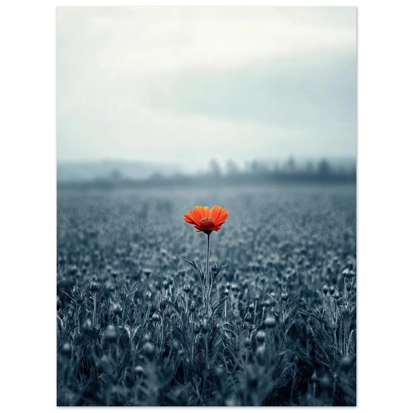 5d6746c4-a9c1-47b1-a0be-a81b3a0f6861