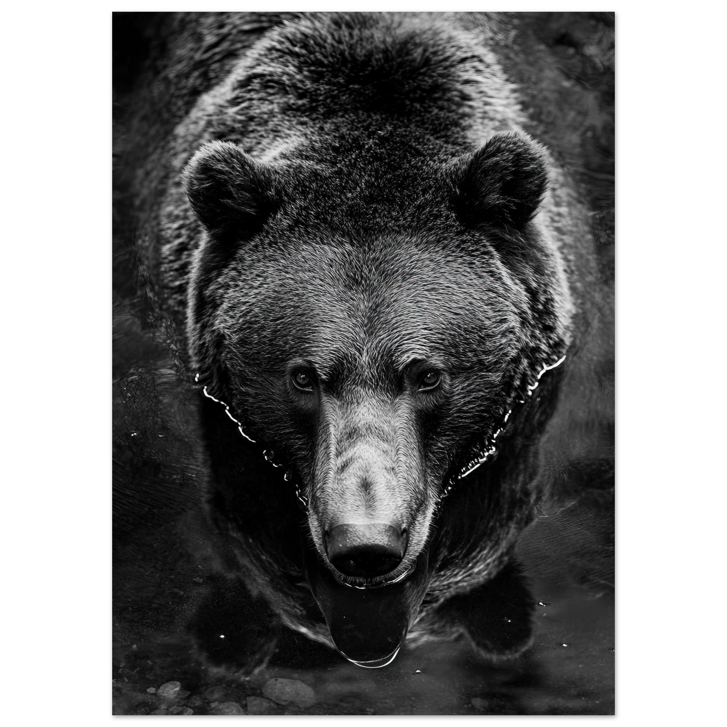 7bb452a9-9f40-474f-b2e8-d9bc516f33f3