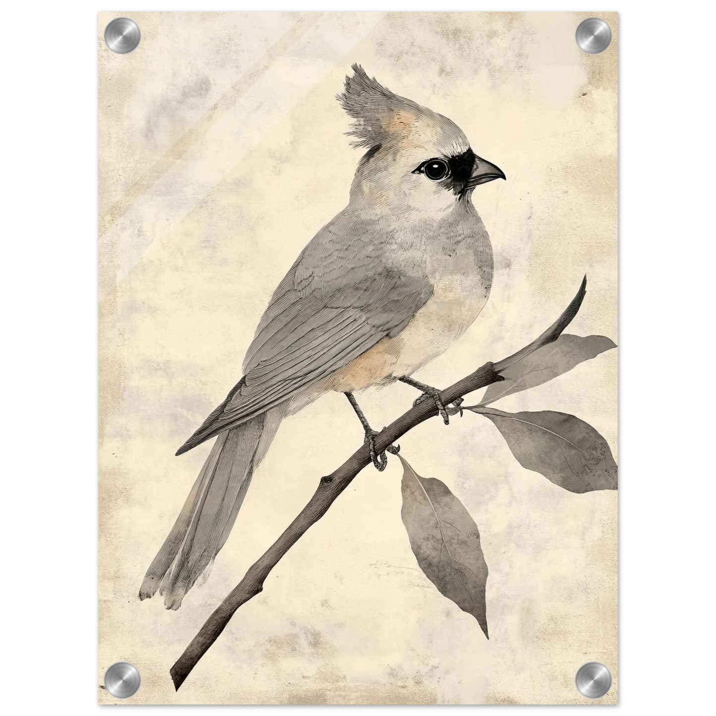 da30bce8-de15-4700-ac39-2c13bd45b737