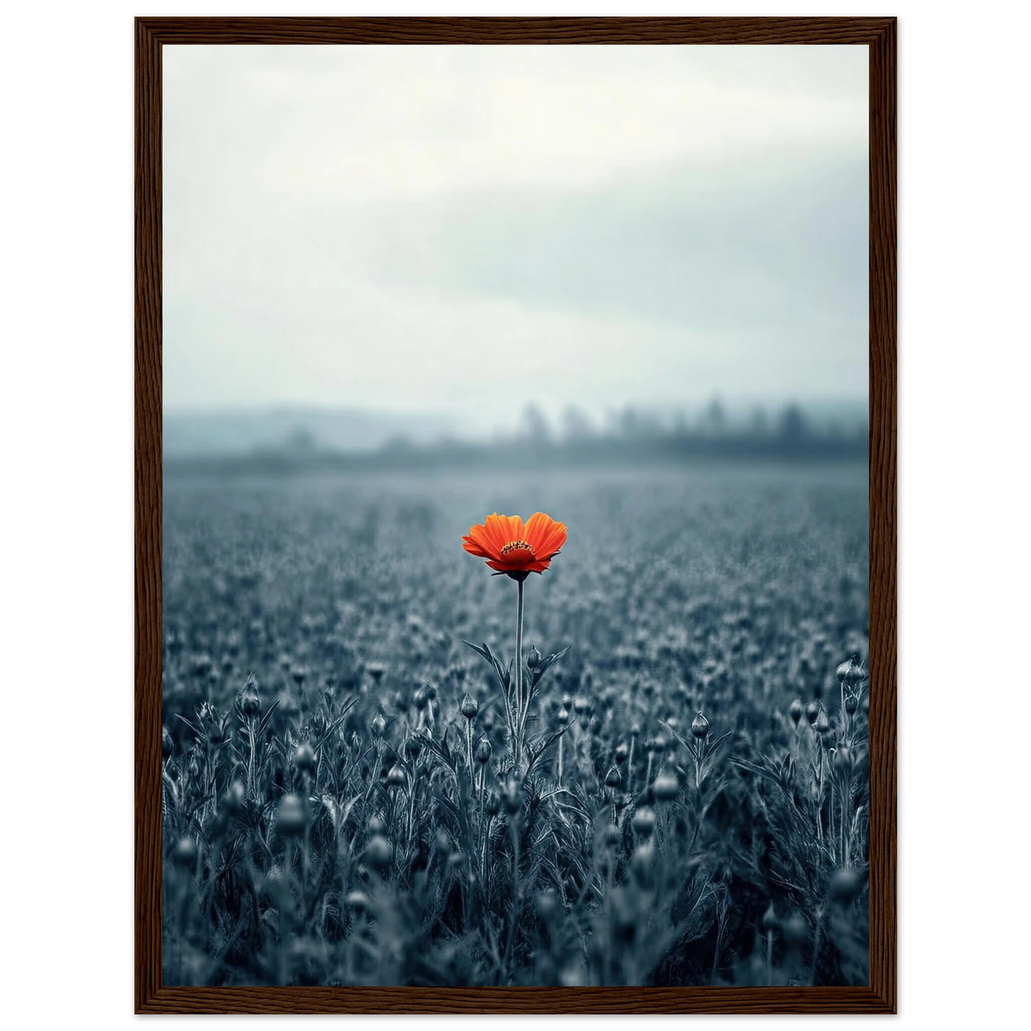 f8241672-9e94-496c-a96a-c49732ce51b3