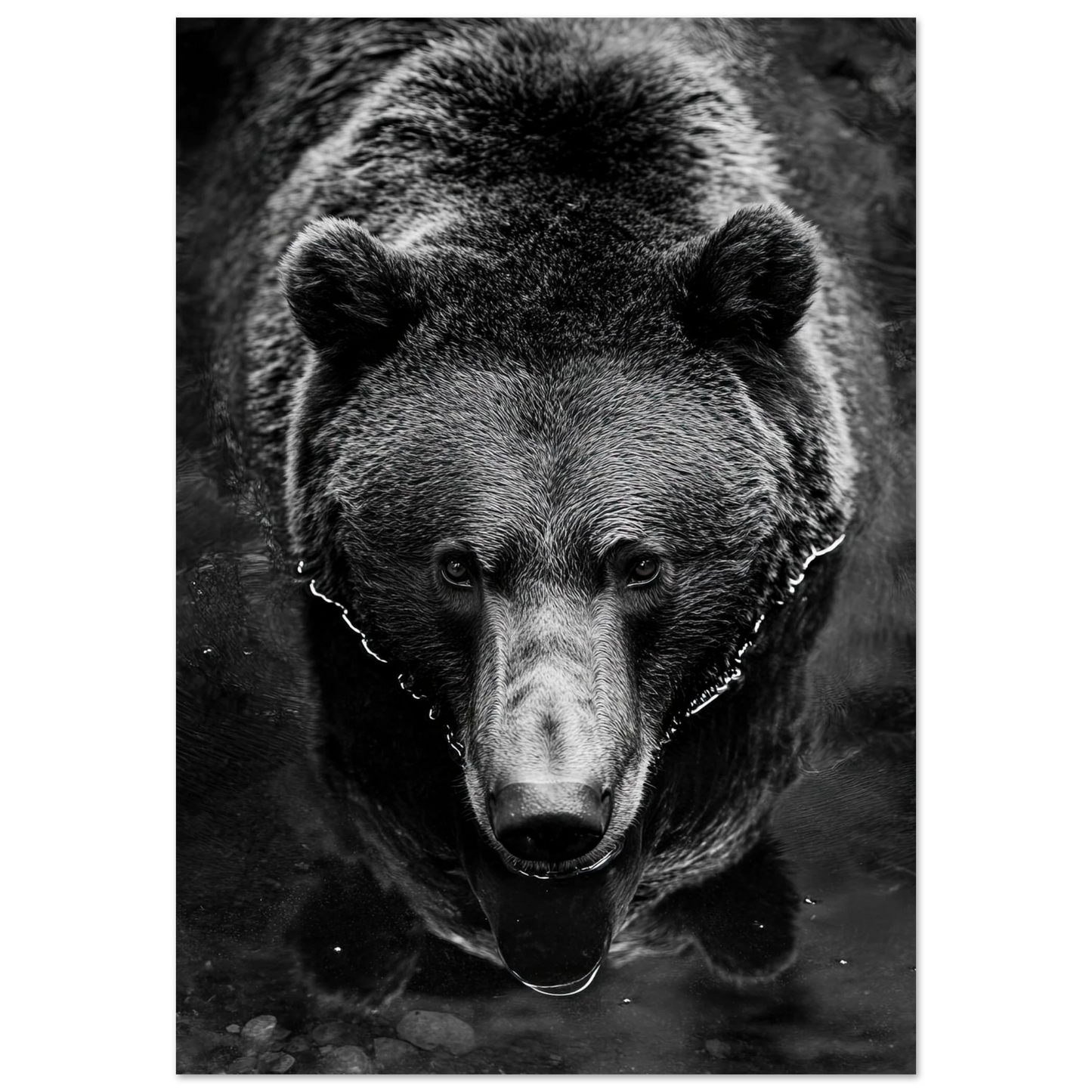 1280af20-b288-4890-8d31-3a75332f578f