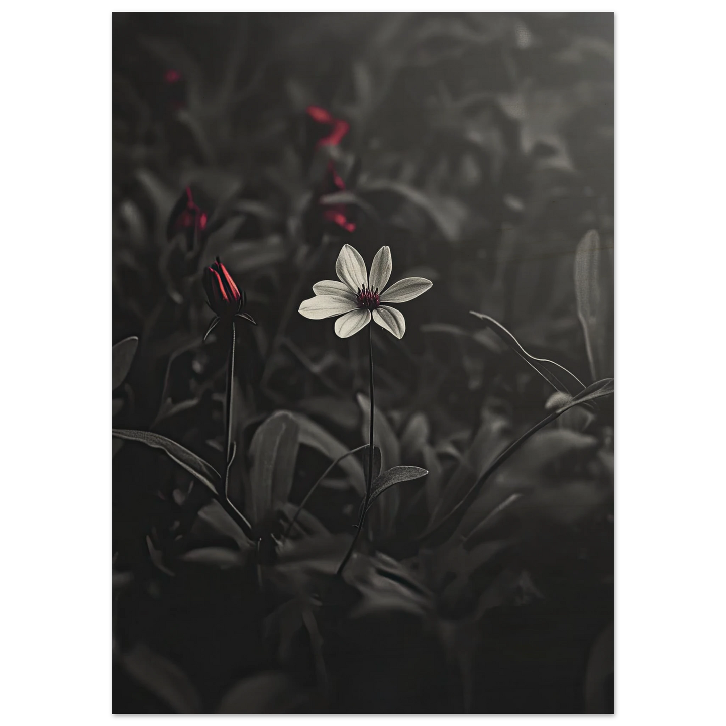 1d37c67e-e4bb-442e-a5a7-f8e06ff07775