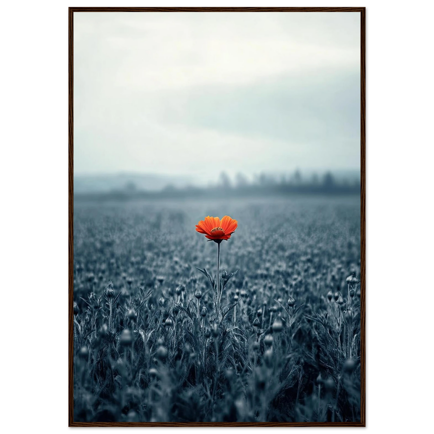 1dfeb166-7787-40b0-b810-45db6e727ea3