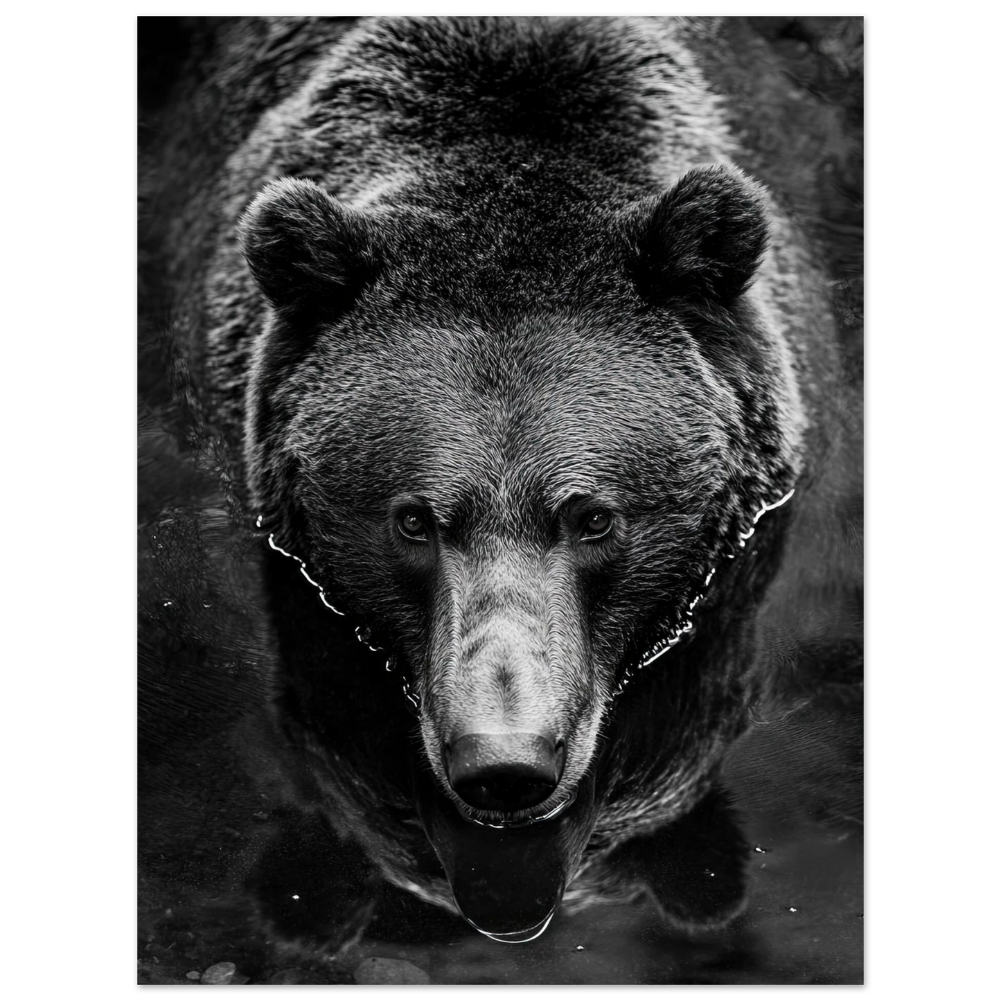 27e20b4f-0344-4cc8-be09-ef5c1c6a65e7