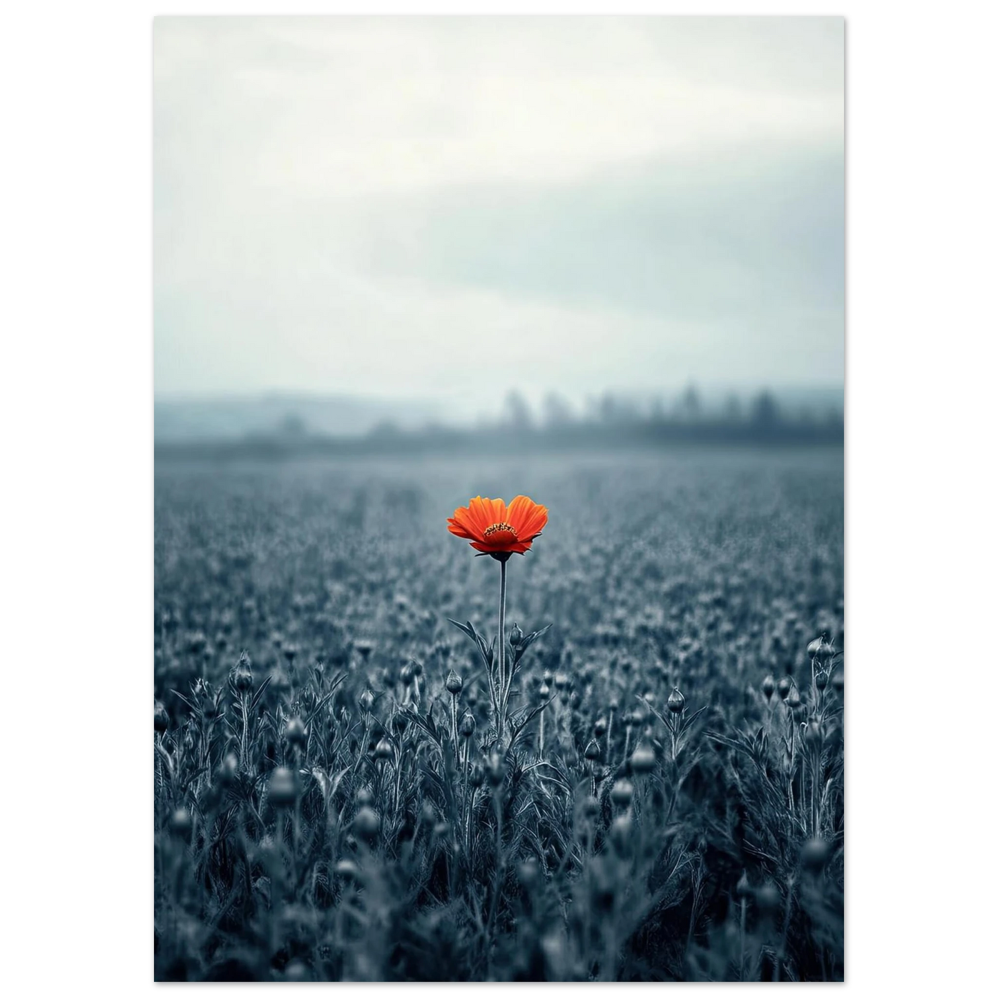 2e966d9d-0ed3-430f-a79e-79f114781068