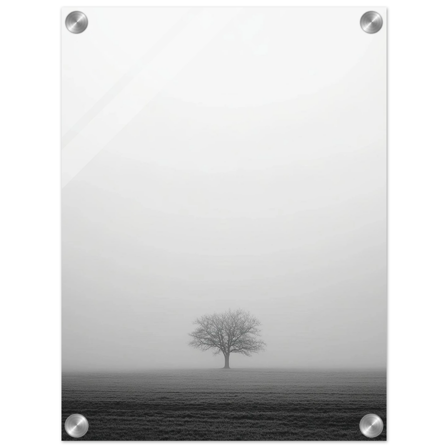 3664a05e-fde6-4ac5-9127-6ad7e06113ec
