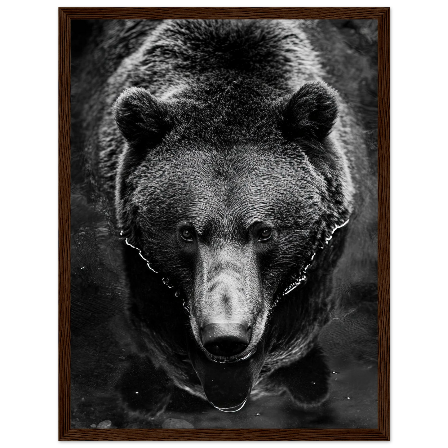 4a3b572f-cd22-4dde-9e84-f49a88dc4158