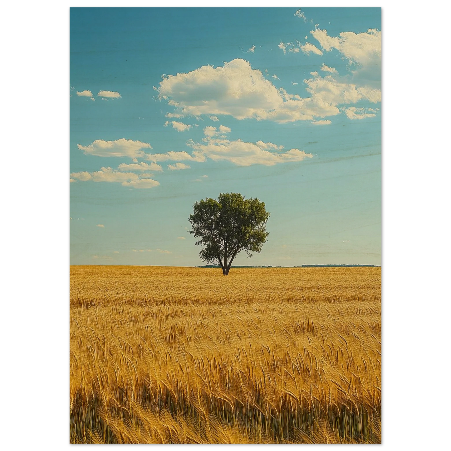 5082ab4b-f173-48f9-b72e-526c939fe508