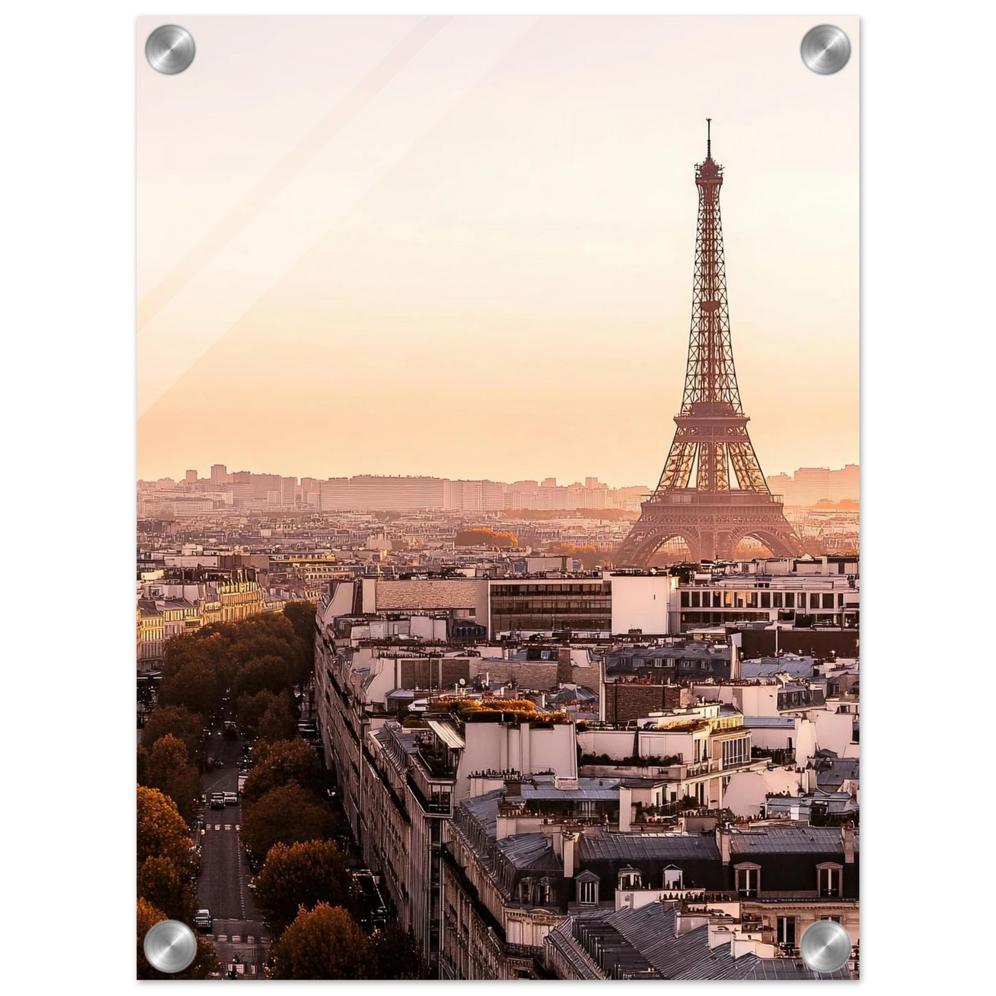 62578264-c677-4ffd-bb2e-5d48843fce10