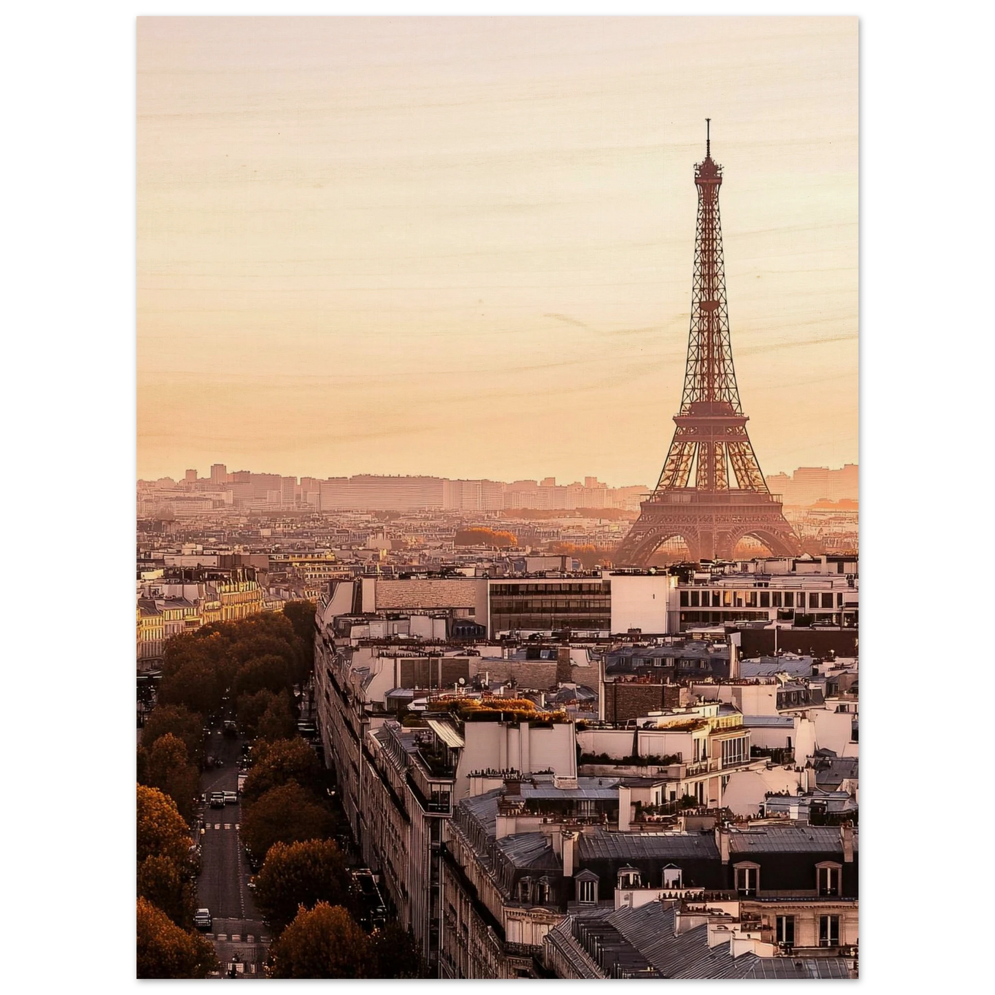 691aa3be-2d91-4709-bc0d-f70a0e64604e