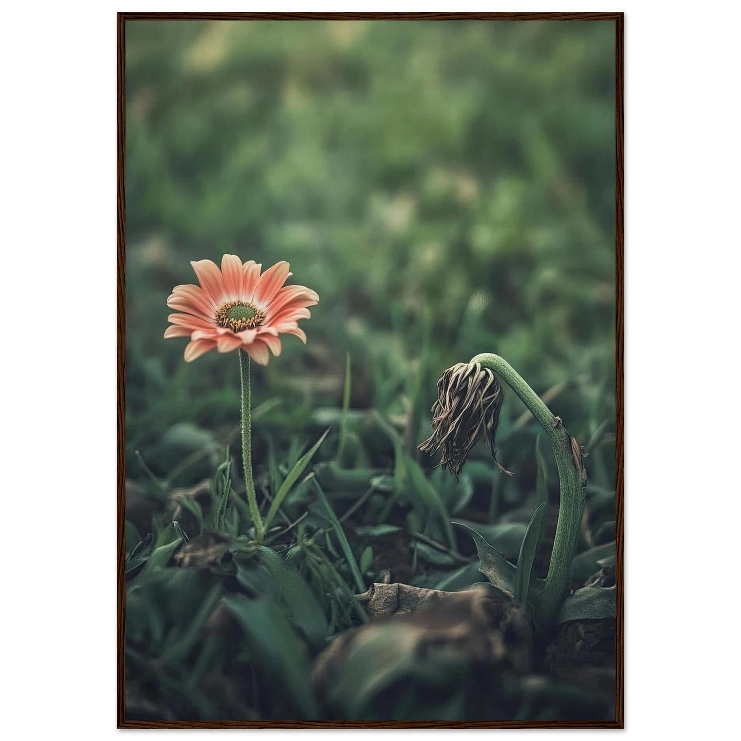 6ad5785e-b642-425e-8c96-ef1a76136904