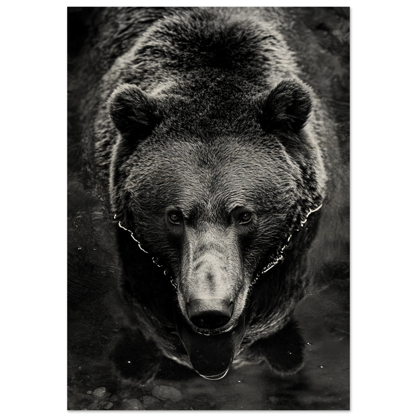 7d567efa-c4df-4ec4-9938-2f27f4d71806