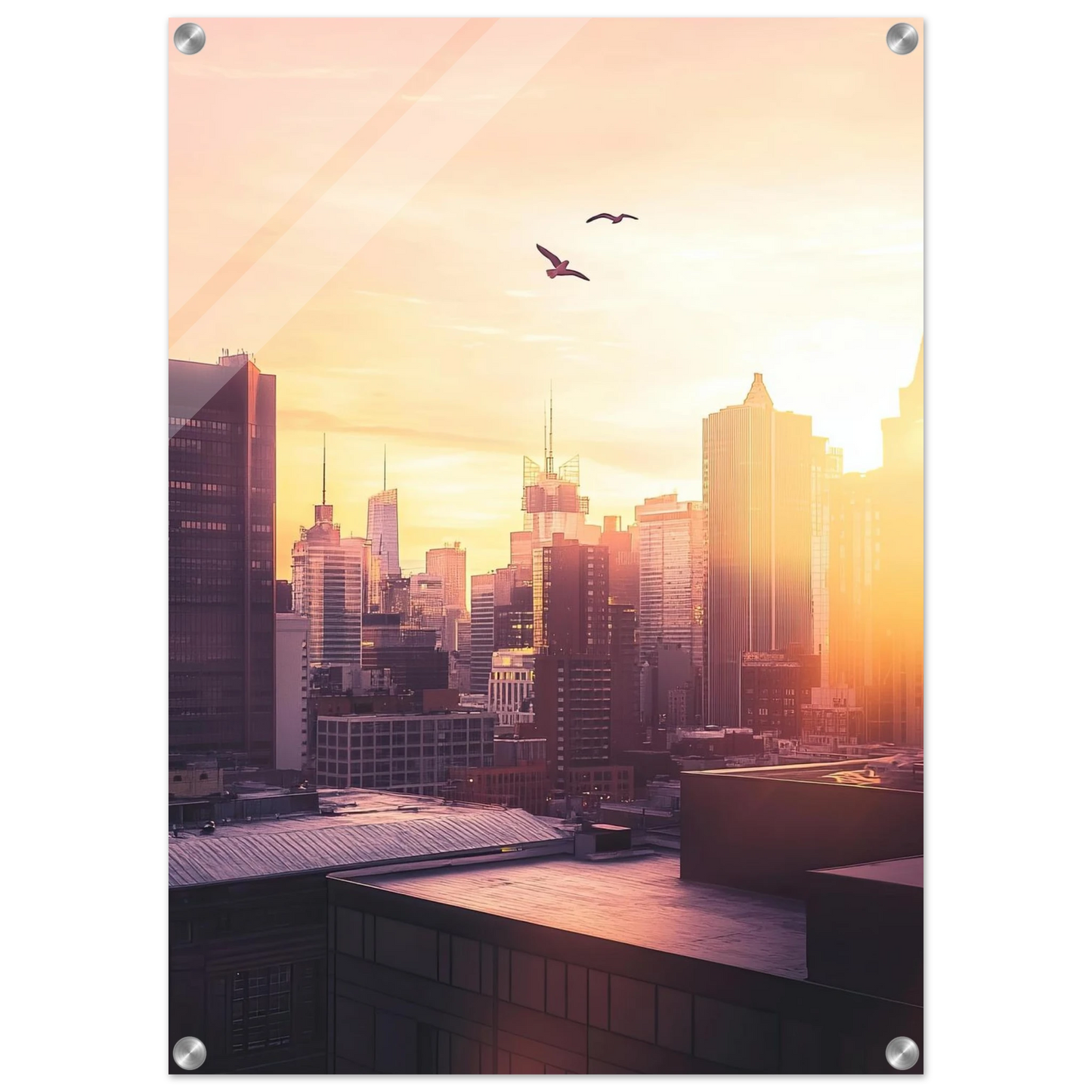 7f776706-53d7-4ccd-8cb1-cb0a2d8c2361
