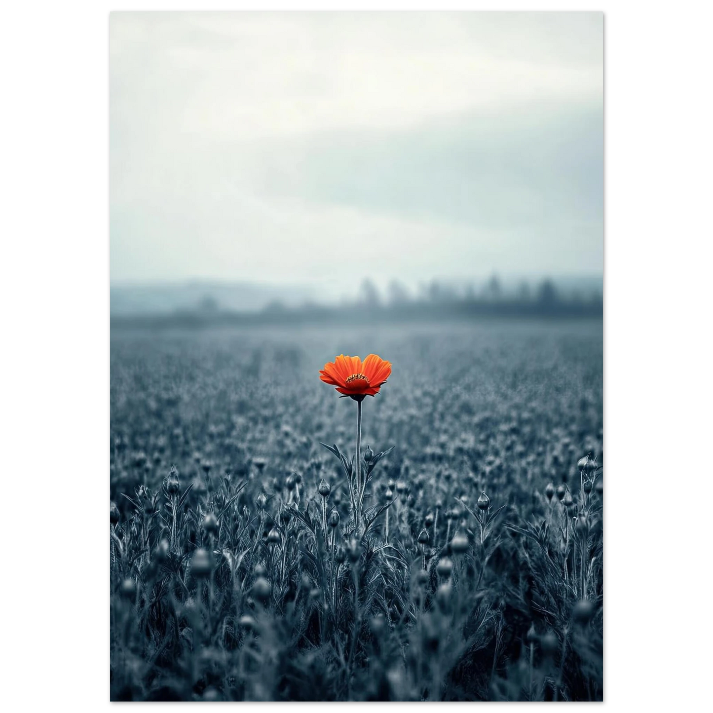 85d408b5-f1df-49a0-955d-2d722c538726