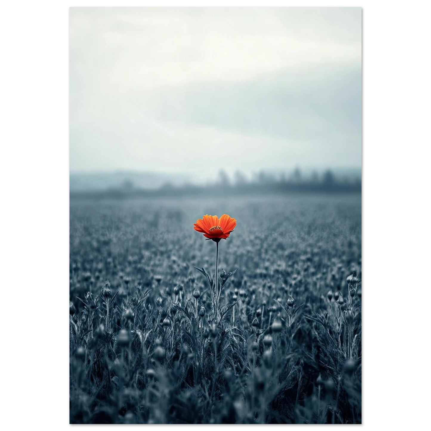 a5c5f578-be4a-4cbc-9e63-8e2480d80d4e