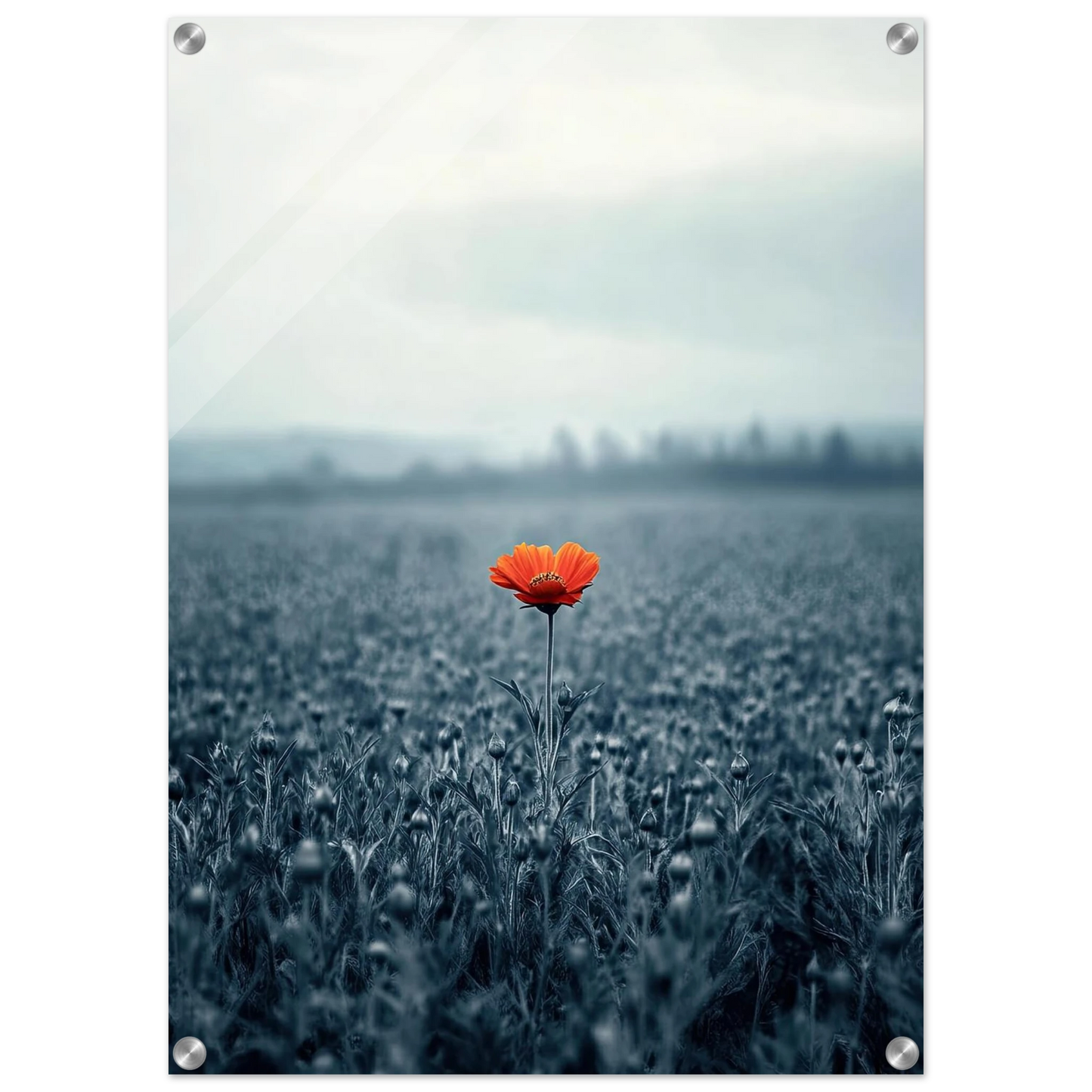 b7a00d6d-95c4-4f0a-a0a3-8e36aa9dc4f4