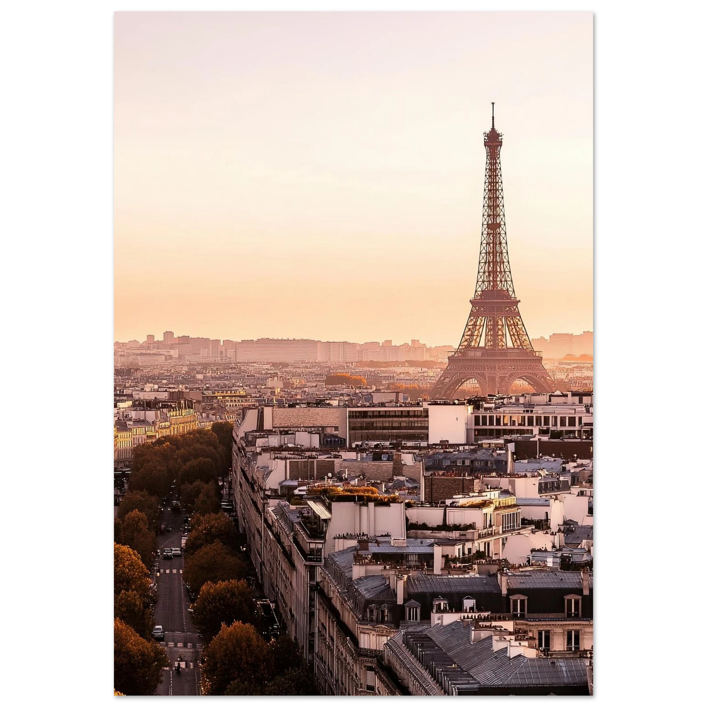 b8568088-18f8-4f83-a37d-c1b7f068107b