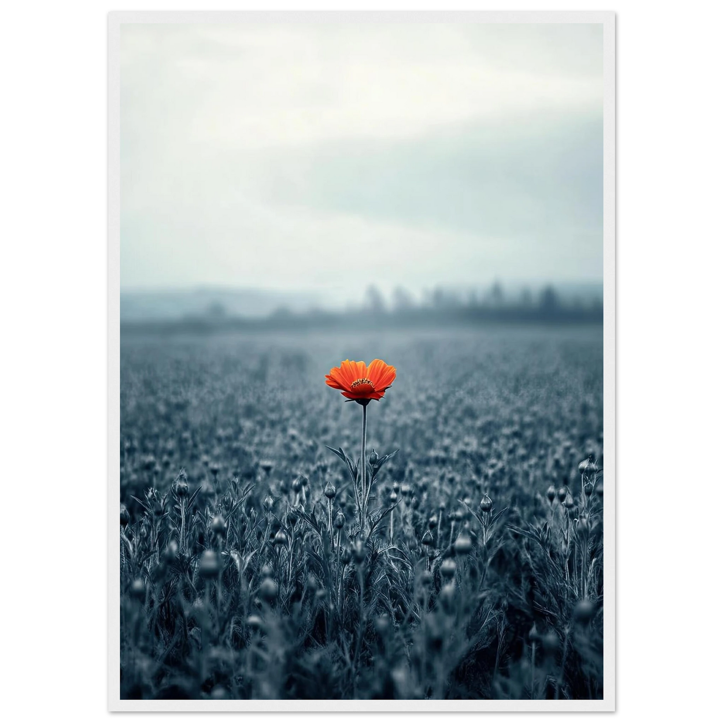 b87d08ef-115b-4870-97ea-c9aac467f079
