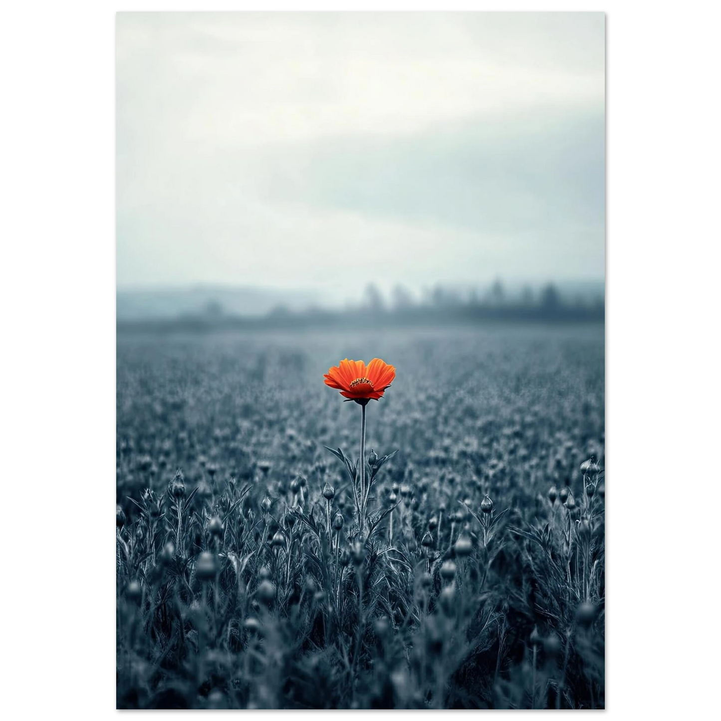 c7d0ff2d-f995-41d2-8895-0f512dc69b71