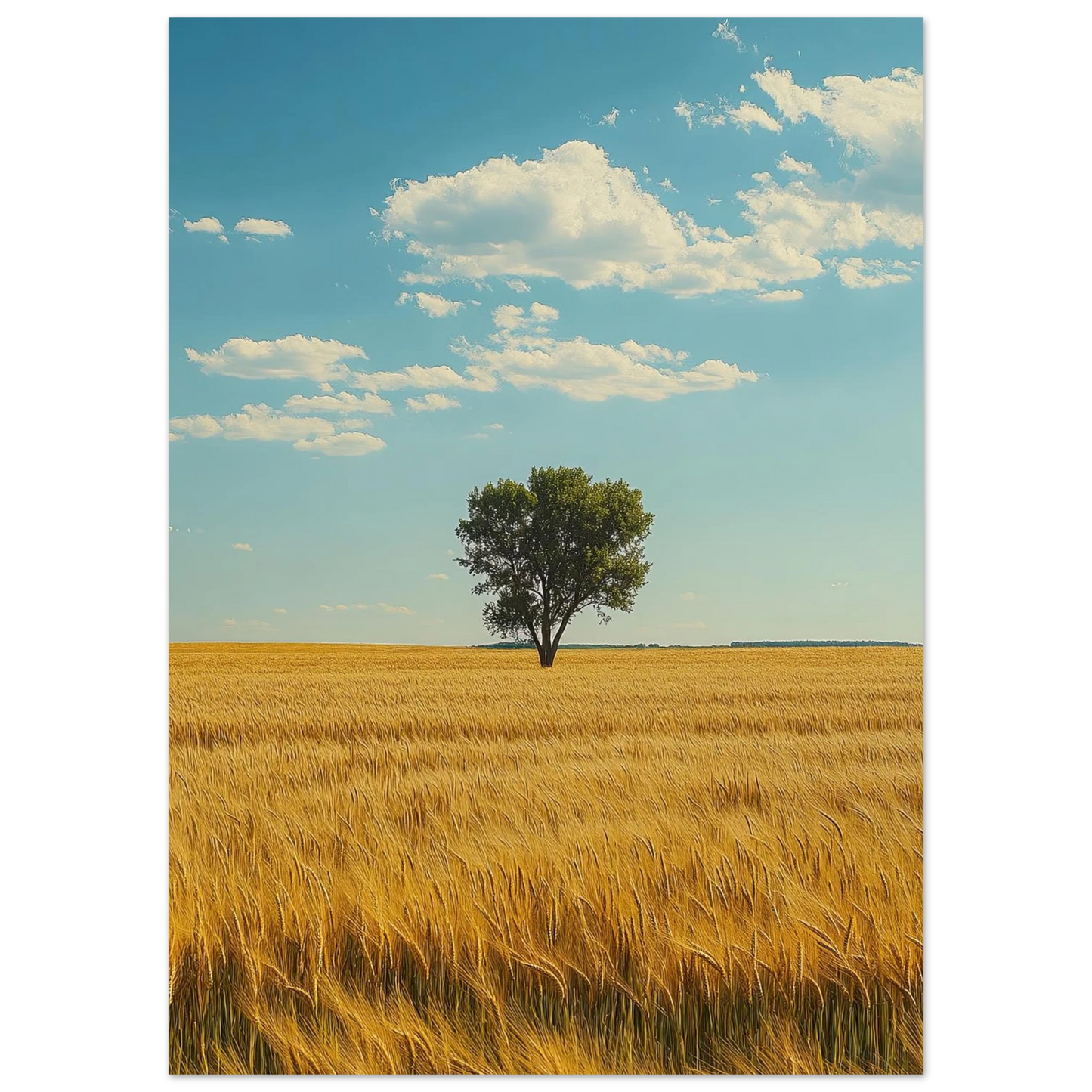 c7e43425-e1c3-4519-8061-a199c0bbd8f4