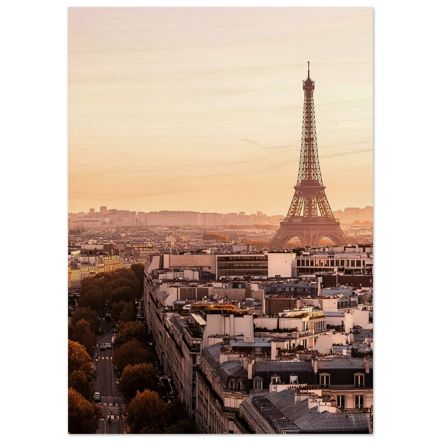 cdfb26dc-0e1d-4677-809f-266e43dffa05