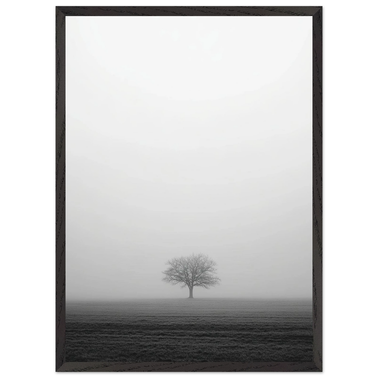 ce2ab001-af55-4a08-a995-b1ca398f36e4