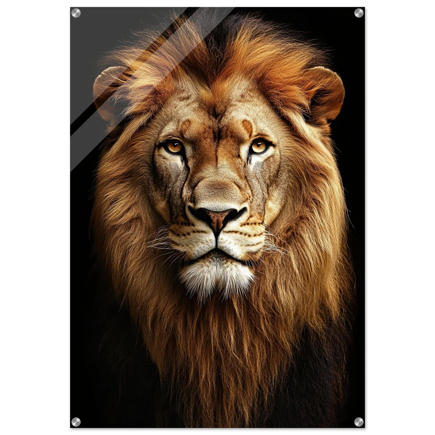 d00b90c2-14bd-45fa-adff-8cd3758a561a