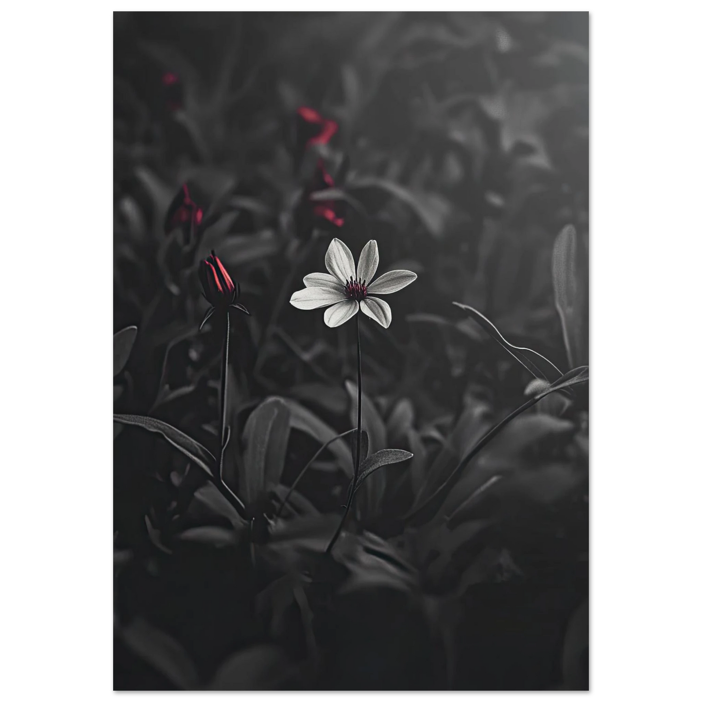 d606732f-f66e-4e61-b6ad-b86edbf87b6f