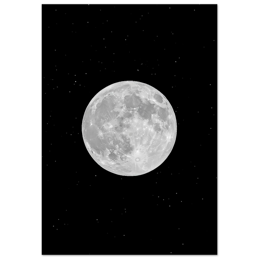 e7497d0e-ed55-48d2-ac46-8a62114bb485