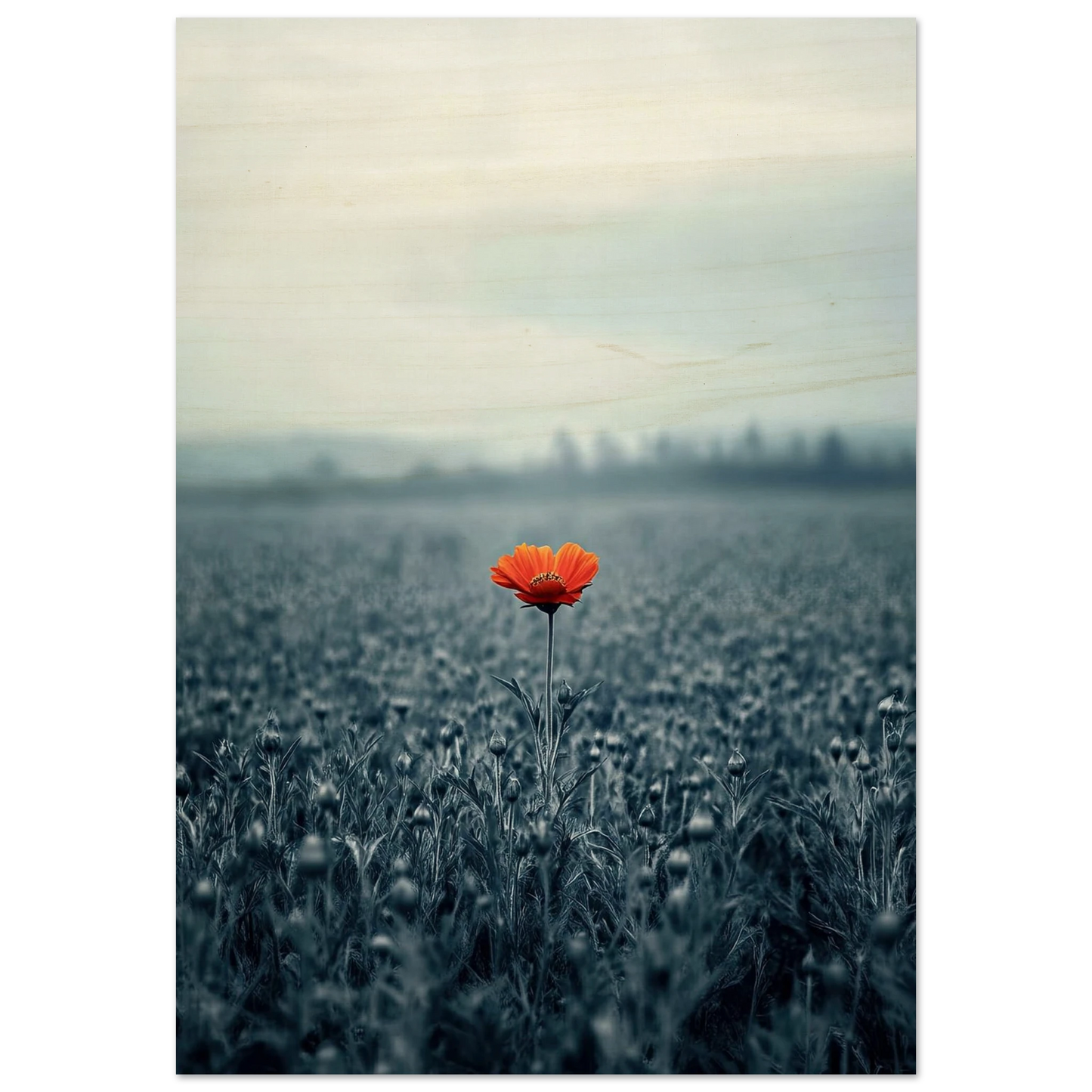 faa1a1ff-c0d8-4d63-bace-a2d59bef8845