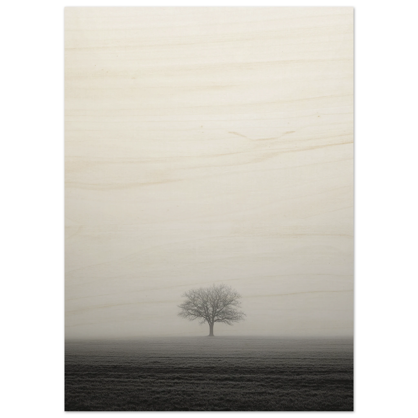 fe96417d-aec0-4521-9c9b-c97e72bbb14b
